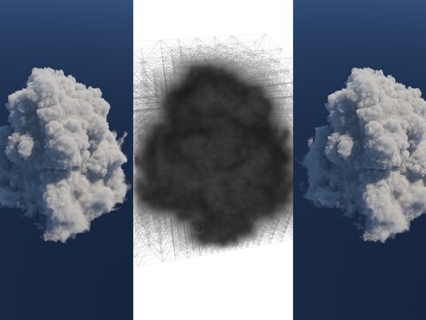 Cloud rendered with volumetric path tracing, shown beside the adaptive tetrahedral grid it is traced on